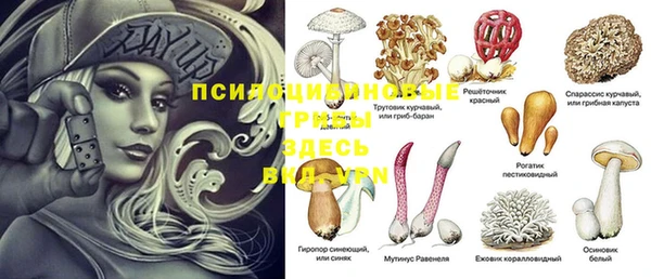 прущая мука Наволоки