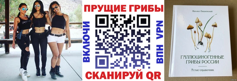 Купить закладки  Фокино  Галлюциногенные грибы Psilocybe 